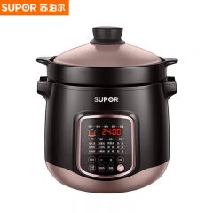 苏泊尔（SUPOR） DG60YC13电炖锅电炖盅家用6L煲汤锅煮粥燕窝炖盅多功能锅快炖砂锅