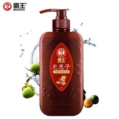 霸王（BAWANG） 无患子平衡控油洗发液400ml平衡去屑控油舒爽