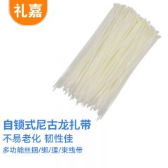 礼嘉（LIJIA） LJ-ZD06自锁式尼龙扎带 透明理线带 全新环保 强韧性 多功能丝捆/绑/理/束线带 白色 500条/包