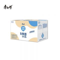 康师傅 小酪多多 500ml*15瓶 1箱