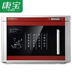 康宝（Canbo） 茶杯消毒柜小型台式家用办公室高温碗柜RTP20A-6/XDR20-A6X （台)