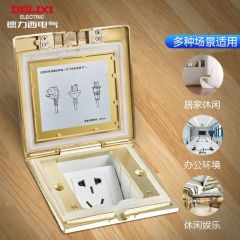 德力西(DELIXI)开关插座 银色五孔铜地插 翻盖式防水地板地插（含暗盒）DCT-F120/FYZS