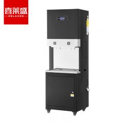 喜莱盛（XLS） 净水器商用直饮机开水器RO反渗透五级过滤直饮水机办公室开水机一开一直饮XLS-JL-2E60Z