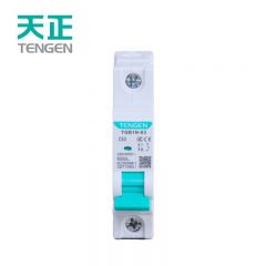 天正电气（TENGEN）TGB1N-63 1P C（祥云3.0）系列 6kA 小型断路器 空气开关小型空开 总闸总开关 AC230V/400V 63A 1P 6kA C