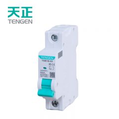 天正电气（TENGEN）TGB1N-63 1P C（祥云3.0）系列 6kA 小型断路器 空气开关小型空开 总闸总开关 AC230V/400V 40A 1P 6kA C