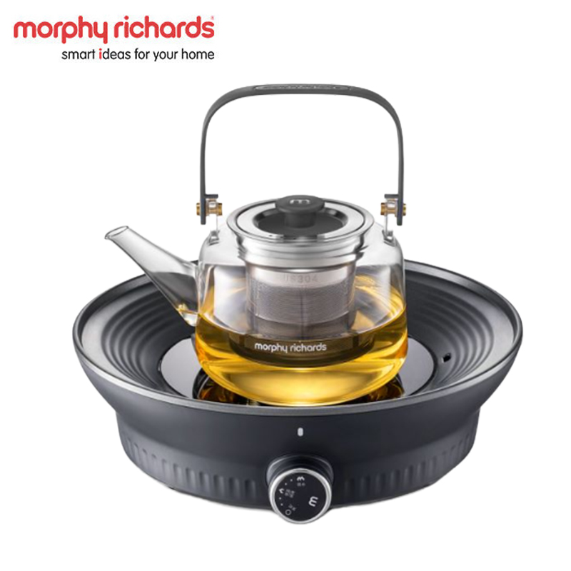 摩飞（Morphyrichards） 养生壶 电陶炉煮茶器煮茶炉多功能围炉煮茶黑茶花茶泡茶蒸茶器不挑器具0.65L MR6083一台
