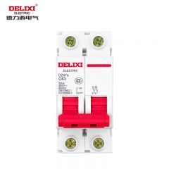 德力西电气（DELIXI ELECTRIC） 空气开关 小型断路器 开关总闸 DZ47s C型 2P 63A  DZ47SN2C63