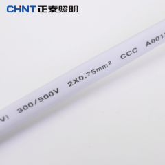 正泰（CHNT）LED灯带灯条单双排灯珠客厅吊顶高亮超亮三色变光餐厅过道暖白黄光【120珠】 NEP-DD2728E配件包