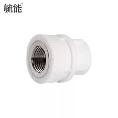 毓能 ppr32*6分(3/4) 水管配件内丝直接内螺纹内牙直接头自来水水管接头热熔管工程特厚活接头