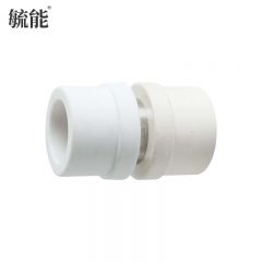 毓能 PPR转PVC直接头转换接头自来水管热熔管加厚活直接头 20mm(4分)