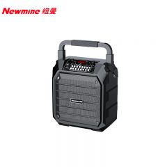 纽曼（Newmine） K99无线蓝牙音箱户外大音量广场舞音响小型家用收音机手提便携式带麦克风地摊摆摊喇叭双麦版